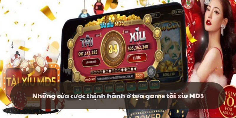 Các cửa cược chính trong tài xỉu md5