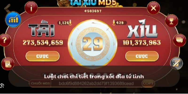 Luật chơi xóc đĩa tứ linh chi tiết cho người chơi mới