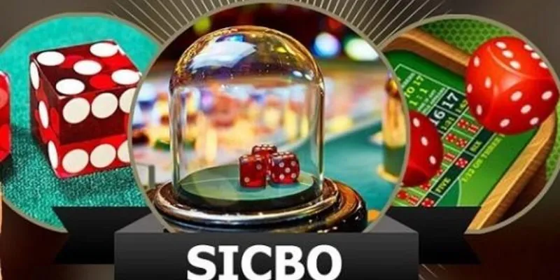 Các dạng cược trong Sicbo và phương pháp đặt cược
