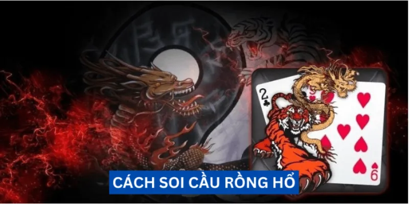 Chiến lược soi cầu rồng hổ của chuyên gia với tỷ lệ thắng cao