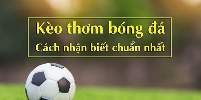 Chiến lược cược kèo thơm bóng đá hiệu quả cho người chơi